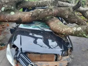 Duas pessoas morrem e três seguem desaparecidas após chuvas em SP