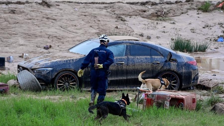 A polícia usa cães para procurar vítimas em Alfafar, na região de Valência, leste da Espanha, em 4 de novembro de 2024, após inundações devastadoras - JOSE JORDAN/AFP