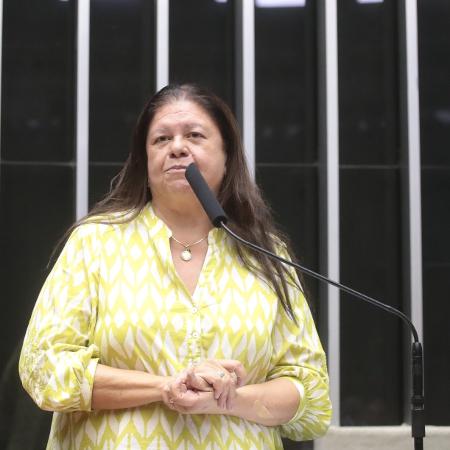 A deputada Laura Carneiro (PSD - RJ) A deputada Laura Carneiro (PSD - RJ)