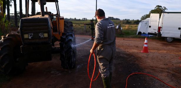 Gripe aviária: ovos de granja afetada estão em 3 estados e serão destruídos