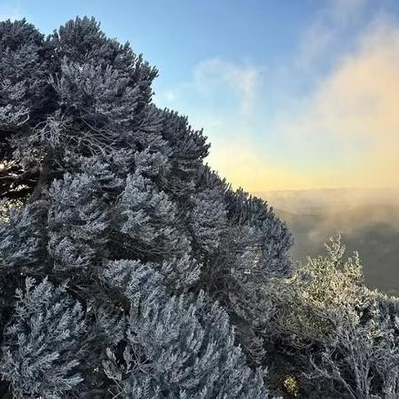 24.jun.2025 - Serra Catarinense teve o dia mais frio do ano, registrando -8°C - Divulgação/Prefeitura de Urubici