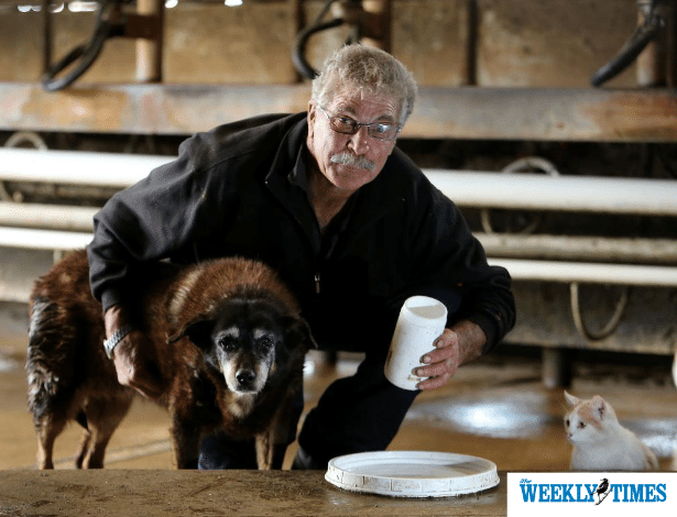 A cadela Maggie com seu dono Brian McLaren em Victoria, na Austrália - Reprodução/The Weekly Times