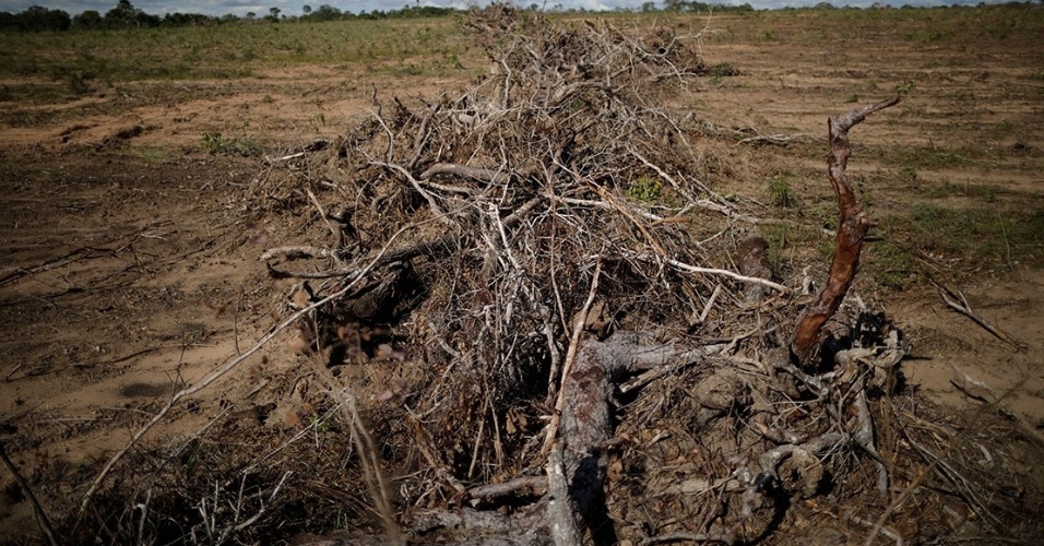 Ueslei Marcelino/Reuters