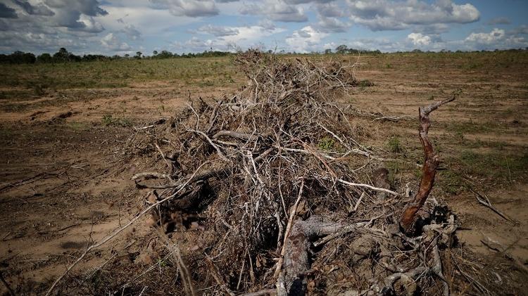 Porção do cerrado com indícios de desmatamento em Palmeirante, Tocantins