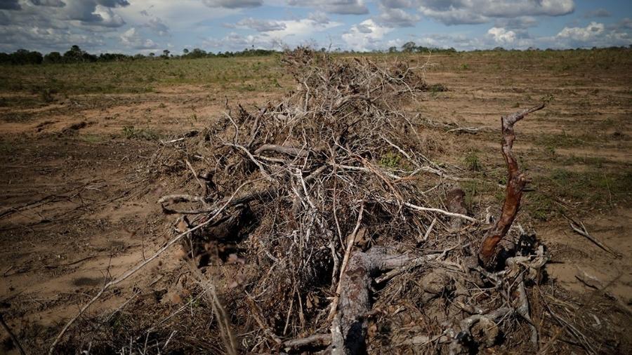 Porção do cerrado com indícios de desmatamento em Palmeirante, Tocantins - Ueslei Marcelino/Reuters