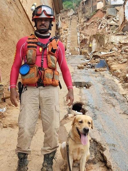 Thayron, cão de busca e resgate do Corpo de Bombeiros de Mato Grosso