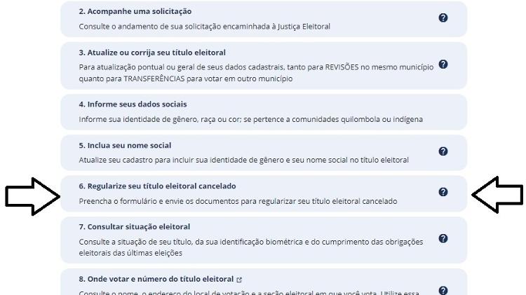 Como consultar a situação eleitoral - Passo a passo 7