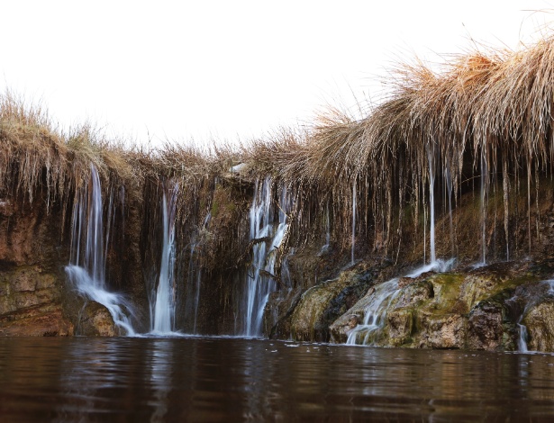 O rio Amargosa é um ecossistema delicado - RICK LOOMIST/NYT