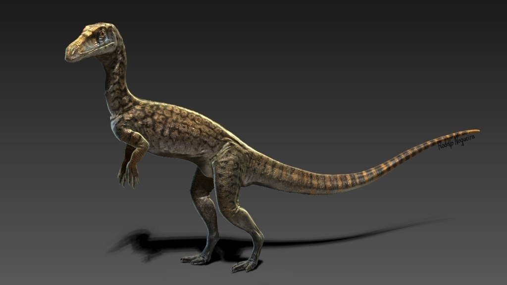 Rodolfo Nogueira / Divulgação