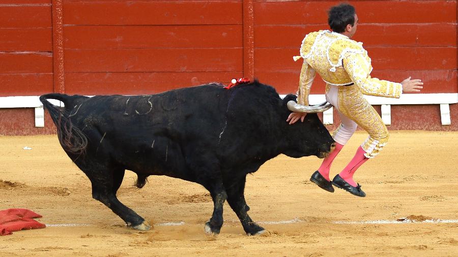Toureiro Enrique Ponce é atingido por touro em evento na Espanha - CRISTINA QUICLER / AFP