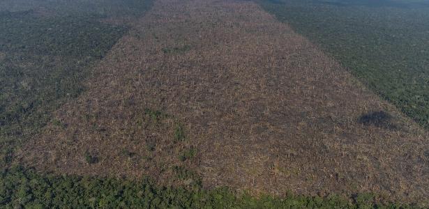 Vista aérea de desmatamento na Amazônia para expansão da pecuária, em Lábrea (AM)