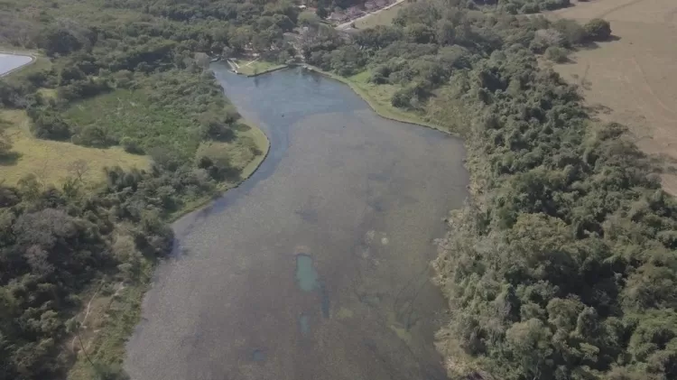 Rio Batalha - DAE-Divulgação - DAE-Divulgação