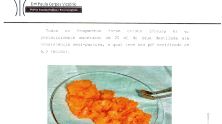 Trecho do laudo assinado pela perita Paula Carpes Victório, que atestou a putrefação da carne do salmão e a presença do formol - Arquivo Pessoal - Arquivo Pessoal