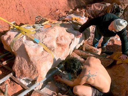 Os pesquisadores levaram quase dois anos para desenterrar o fóssil de titanossauro encontrado por Damien Boschetto - Reprodução/Redes Sociais