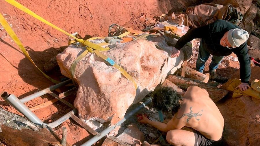 Os pesquisadores levaram quase dois anos para desenterrar o fóssil de titanossauro encontrado por Damien Boschetto