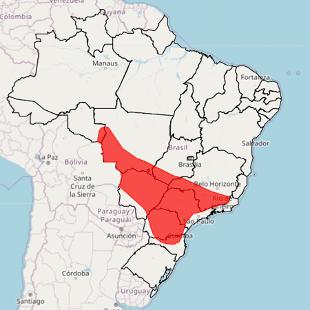 Alerta vermelho estará em vigor até sexta-feira (23)