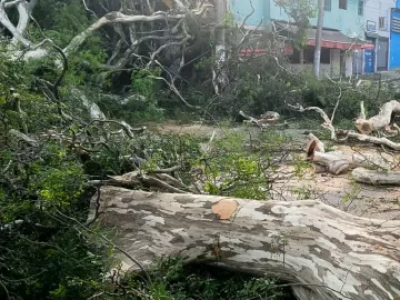 Por que a tempestade em SP foi tão forte e repentina? Especialista explica o fenômeno