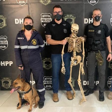 Cão pitbull e um esqueleto foram apreendidos em operação contra suspeito de tráfico e de assassinatos - Divulgação/Polícia Civil