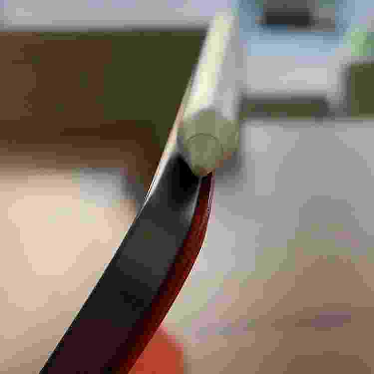 Apple Pencil - Arquivo pessoal/ Guilherme Rambo - Arquivo pessoal/ Guilherme Rambo