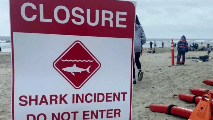 As praias na região do condado de Walton foram fechadas por tempo indeterminado após os ataques