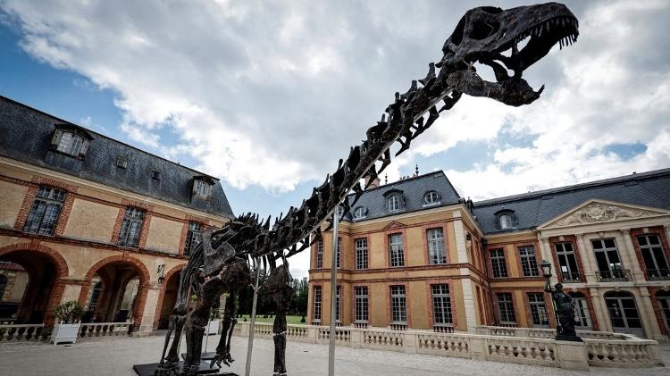 O esqueleto de dinossauro Apatosaurus, chamado "Vulcain", será exibido ao público em um castelo nos arredores de Paris antes de ser vendido. Ele é o maior dinossauro já leiloado na história.