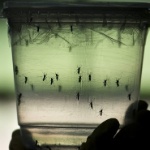 Nelson Almeida/AFP Nelson Almeida/AFP