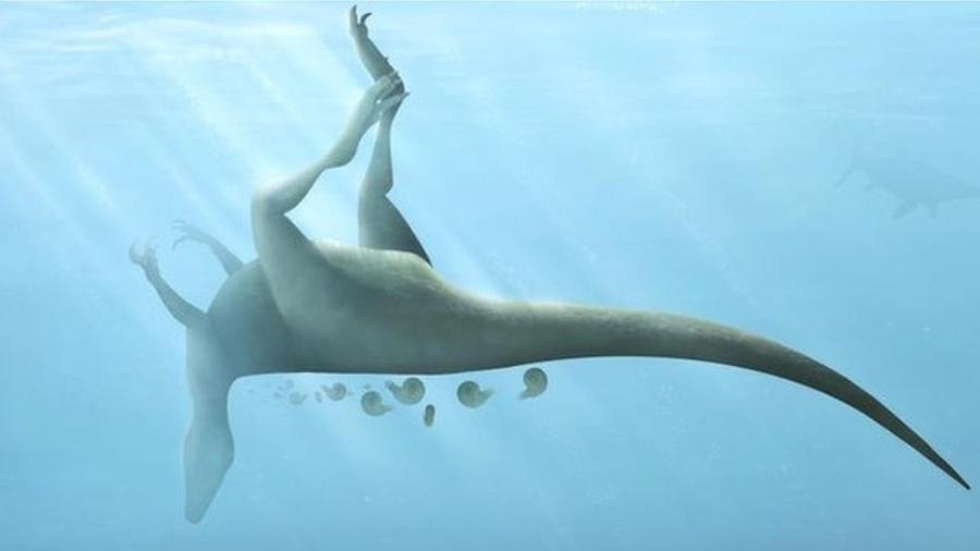 Uma imagem gerada por computador foi criada de uma impressão dos momentos finais do Vectaerovenator inopinatus - Trudie Wilson