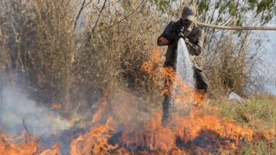 Bombeiro apaga incêndio no Pantanal; bioma já tem recorde de queimadas neste ano - EPA