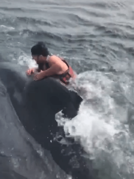 Vídeo de Samuel Synstelien salvando baleia já conseguiu mais de 8 milhões de visualizações - Reprodução/TikTok