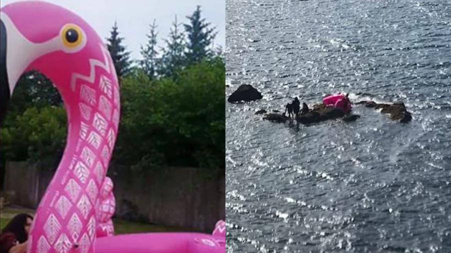 Boia inflável de flamingo deixou três amigos e dois cães flutuando na baía de Monashka no Alasca - Reprodução/Hollie Spence/U.S. Coast Guard Alaska/Facebook