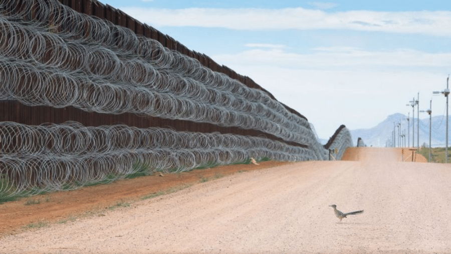 Alejandro Prieto documentou a vida selvagem e os ecossistemas da fronteira sul dos Estados Unidos - ALEJANDRO PRIETO / BIRD PHOTOGRAPHER OF THE YEAR