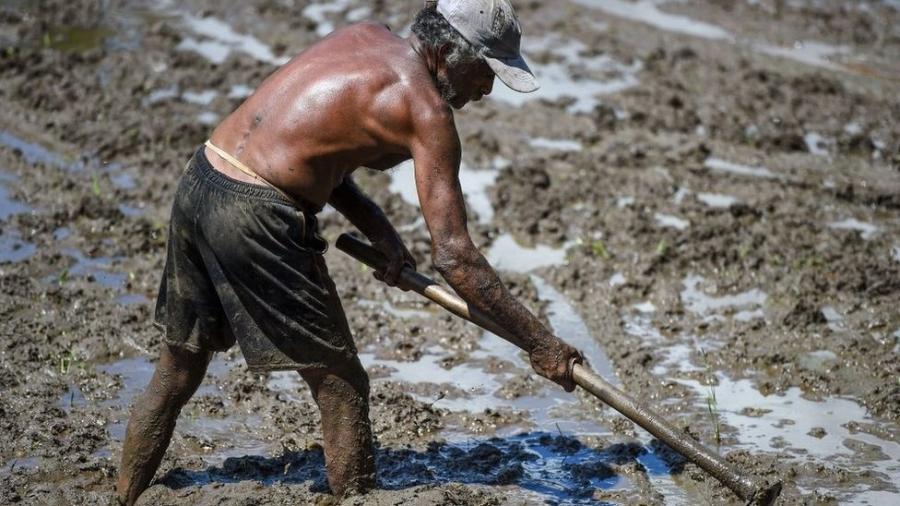 Impasse com a China está afetando o sustento de agricultores no Sri Lanka - Getty Images