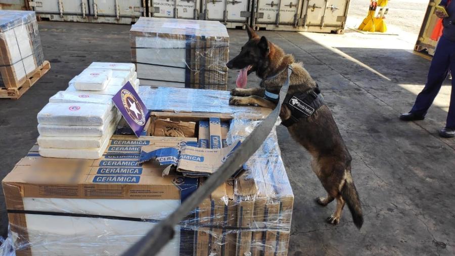 Cocaína estava escondida em carga que seria enviada para continente africano - Receita Federal/Divulgação