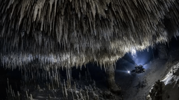 mexico underwater caves - TOM ST.  GEORGE / WORLD NATURE PHOTOGRAPHY AWARDS - TOM ST.  GEORGE / WORLD NATURE PHOTOGRAPHY AWARDS