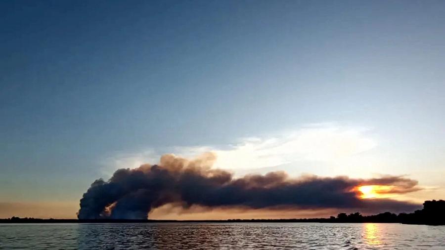 Incêndios se iniciaram em uma floresta na província de Corrientes no fim de semana passado - AFP Photo/Telam