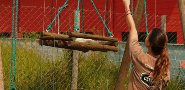 Balada e academia faturam milhões levando 'jeitão do campo' à cidade