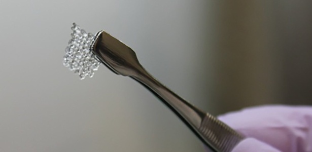 Roedores dão à luz com ovários impressos em 3D - Divulgação/Northwestern University - Divulgação/Northwestern University