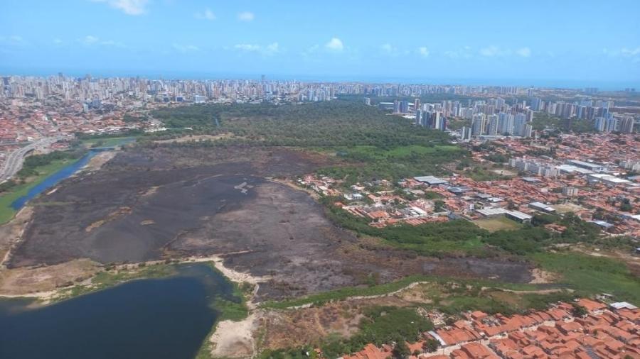 Vista aérea do local atingido pelo incêndio no Parque do Cocó entre 17 e 18 de novembro de 2021 - Divulgação/Sema
