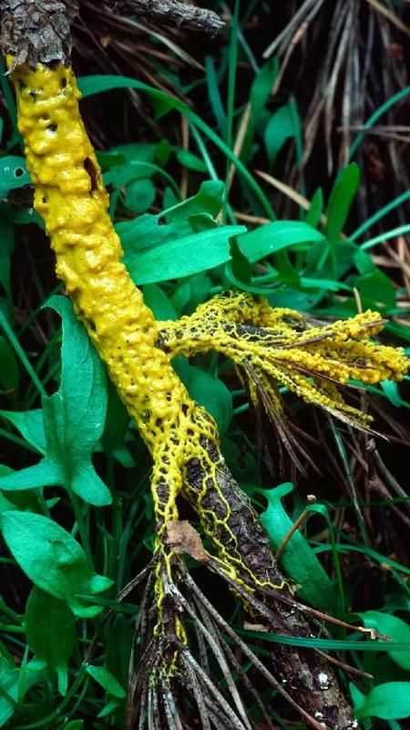 bbc - Science Photo Library - Science Photo Library