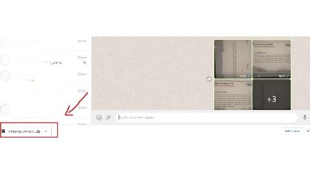 Baixar arquivos do WhatsApp - passo 5 - Reprodução - Reprodução