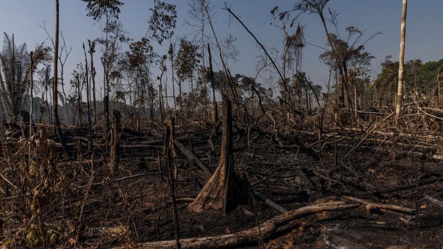 Incêndio florestal e desmatamento na Amazônia visando a expansão da pecuária, em Candeias do Jamari (RO) - Victor Moriyama/Amazônia em Chamas