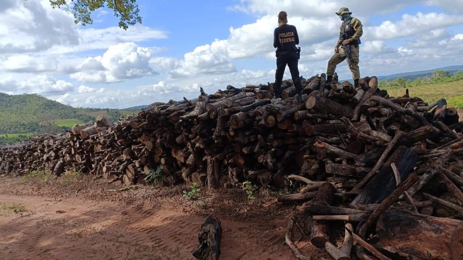 9.fev.2023 - Ação da PF e outros órgãos na Terra Indígena Araribóia visou combater desmate ilegal - Divulgação/Polícia Federal do Maranhão