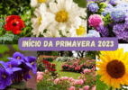 Primavera 2023 e o que é importante para os estudos - Brasil Escola