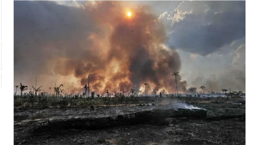 Em julho deste ano, as queimadas foram proibidas por 120 dias pelo governo de Jair Bolsonaro - Gabriela Biló/Estadão
