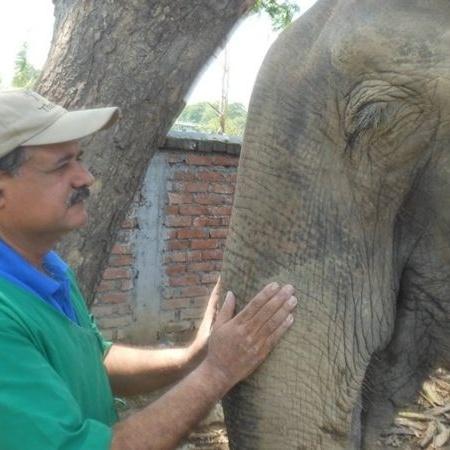 Sharma calcula ter tratado mais de 10 mil elefantes - BBC