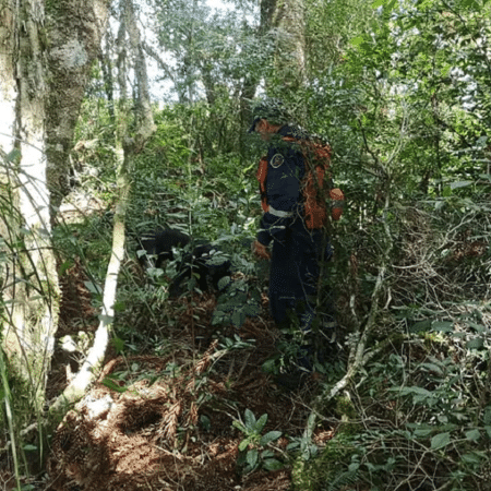 Corpo de adolescente foi encontrado amarrado em árvore e coberto por vegetação - Corpo de Bombeiros/Divulgação