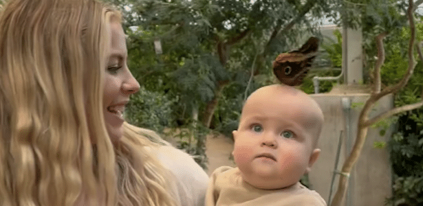 A família estava visitando uma estufa de plantas quando a borboleta pousou na cabeça da menina e não quis mais sair