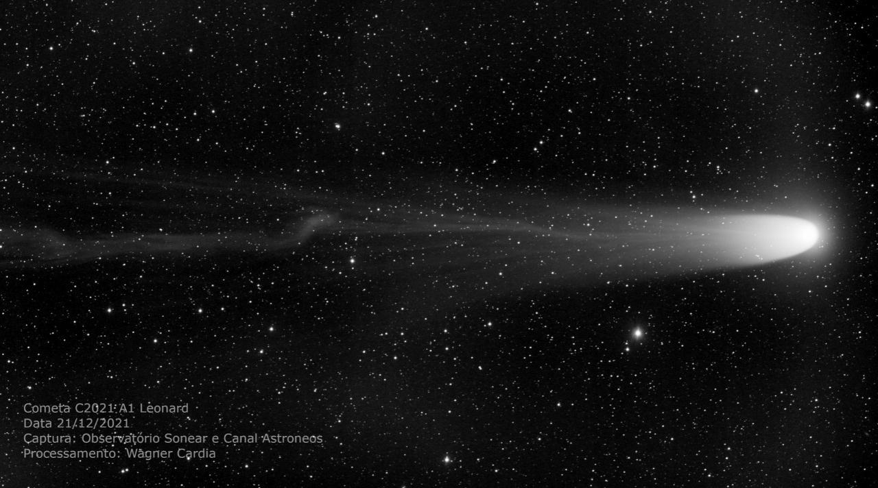 Imagen del cometa Leonard tomada por Christopheu Jacques, del Observatorio Sonner - Foto: Christopheu Jacques / Sonar;  Tratamiento: Wagner Cardia-Olivera / MG