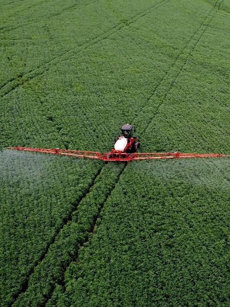 Fungicida é aplicado em plantação de soja no Paraná Fungicida é aplicado em plantação de soja no Paraná