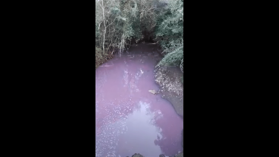 Um vídeo filmado por moradores mostra que a água que abastece o município ficou cor-de-rosa em Chapecó (SC) - Reprodução/Twitter